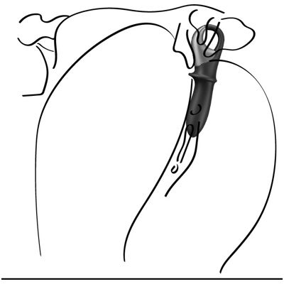 «Satisfyer Hot Passion» – Анальный вибратор- фото5