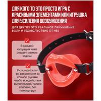 «Sissy Mouth Gag» - Кляп- фото6