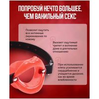 «Sissy Mouth Gag» - Кляп- фото4