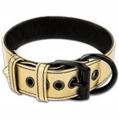 «Bondage Fetish Metallic Pup Collar With Leash» - Ошейник - фото4