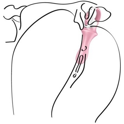 «Air Pump Booty 5+» – анальный вибратор- фото5